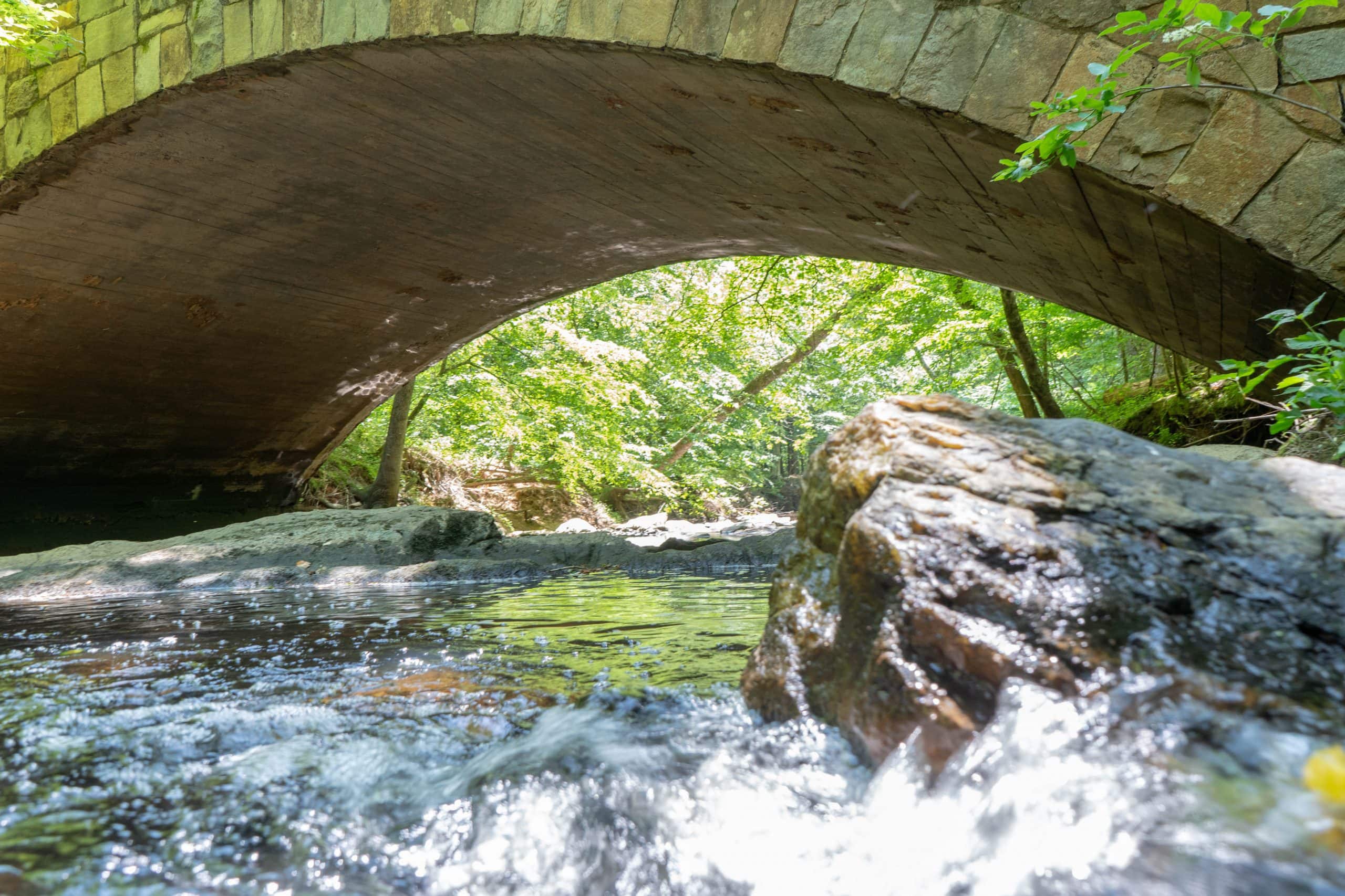 Watch Out For Snakes! Hiking William B. Umstead State Park - Average ...