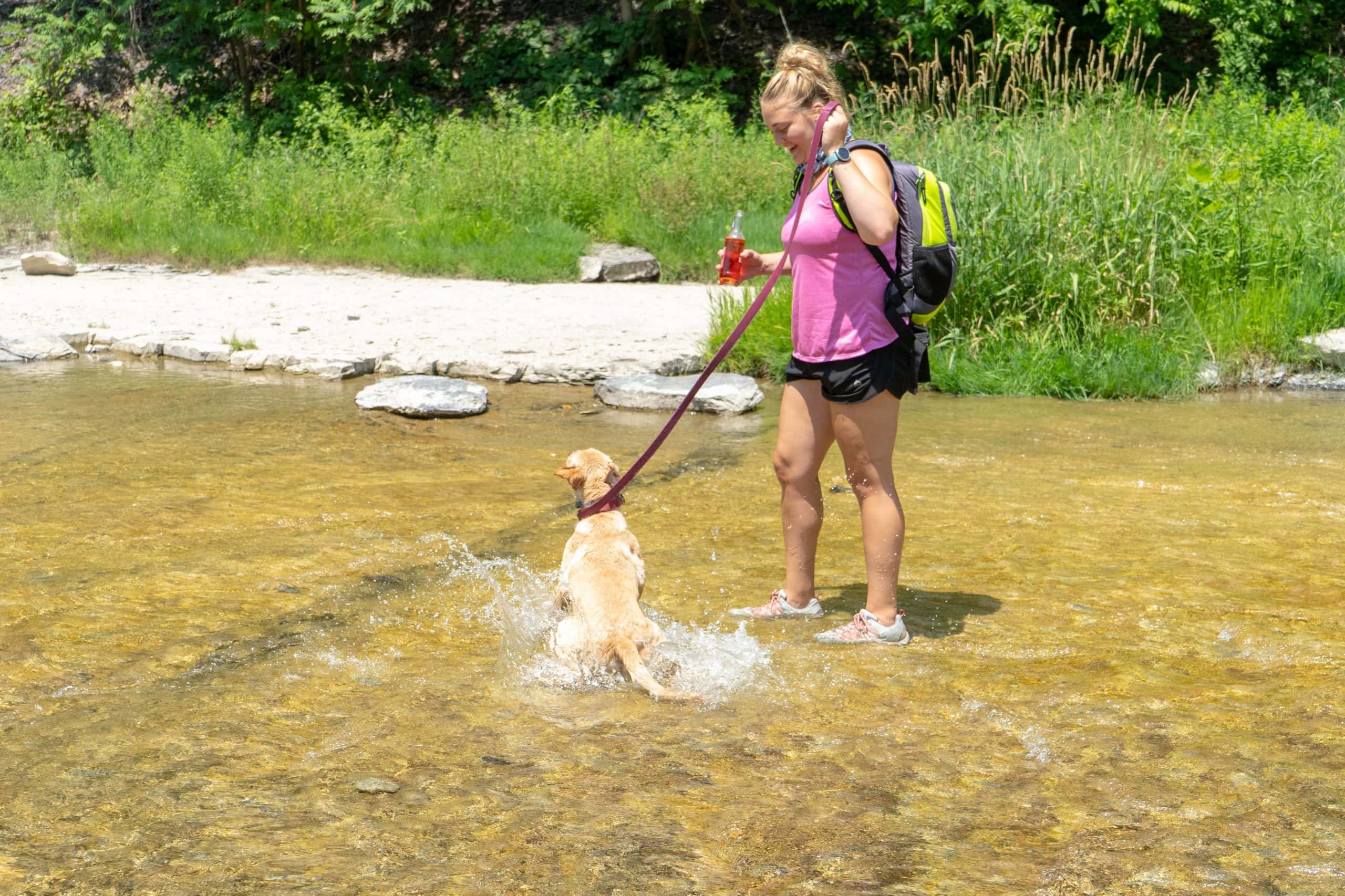 Taughannock Falls State Park: Easy Hiking, Beautiful Views - Average ...