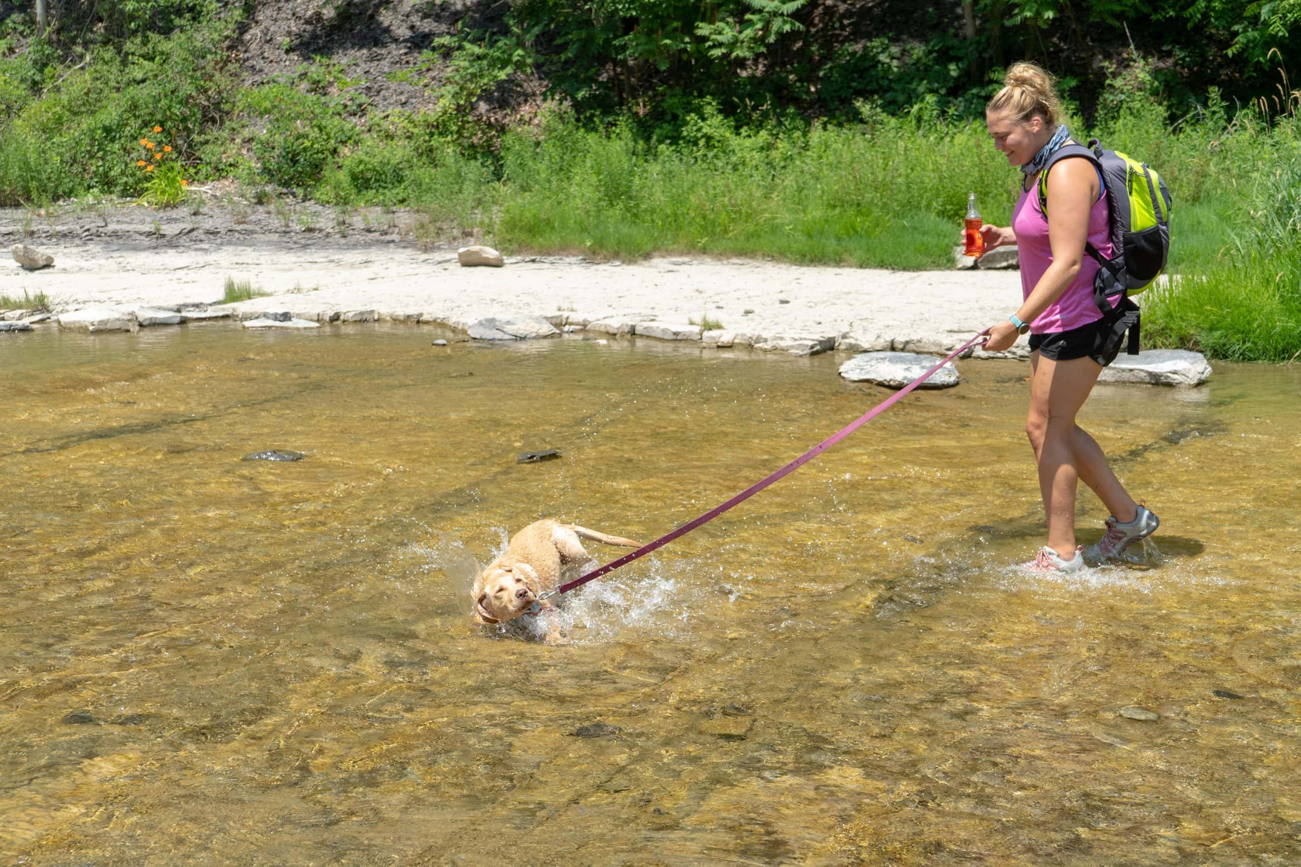 Taughannock Falls State Park: Easy Hiking, Beautiful Views - Average ...