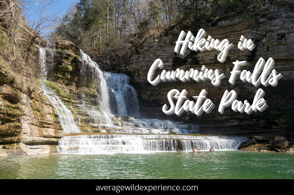 Hiking In Cummins Falls State Park Tn Get Wet In The Gorge Trail Average Wild Experience 2701