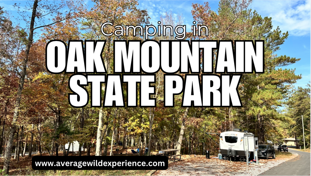 An Oak Mountain State Park Camping Trip: Everything to Know - Average ...